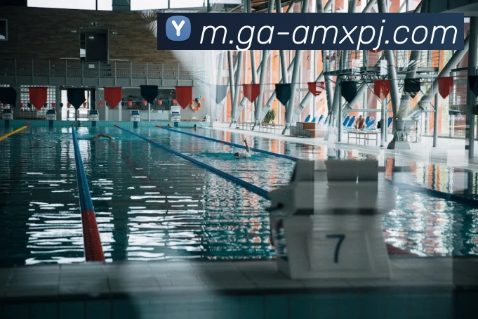 澳门新葡京娱乐平台生态图