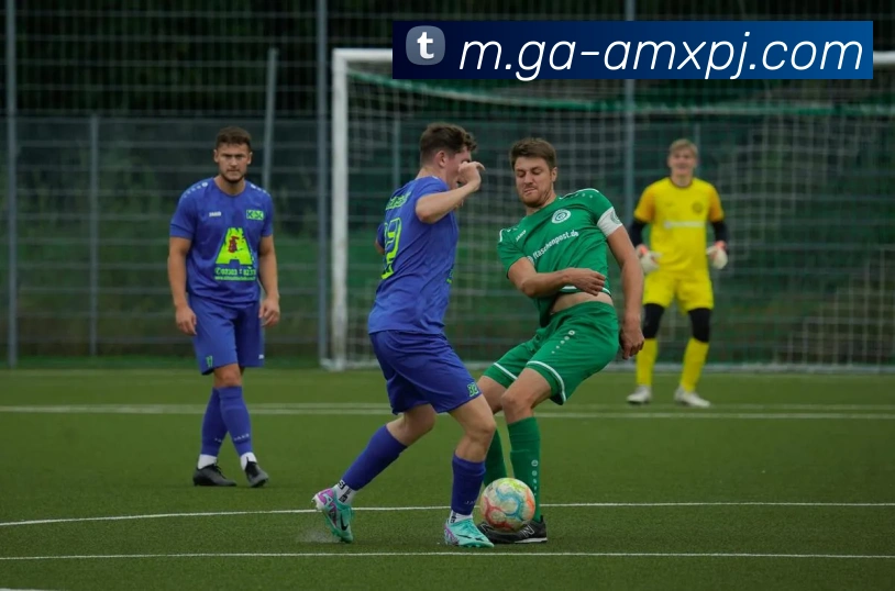 澳门新葡京娱乐APP 封面图